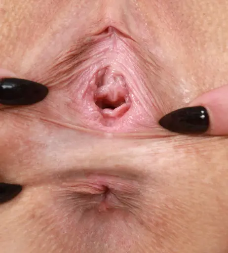 Image 23239581 from Kali Roses
