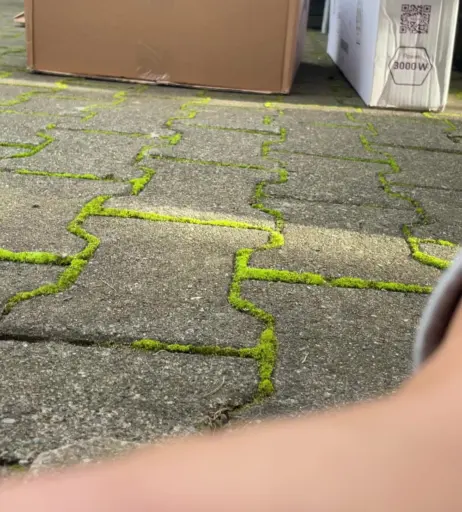 Image 2329155 from Vannmeyr