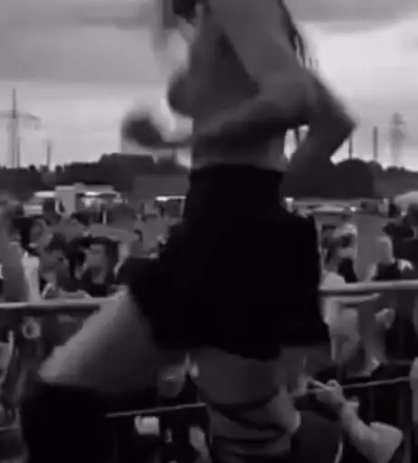 Image 2316408 from schweinenuttenfotzenscheisse