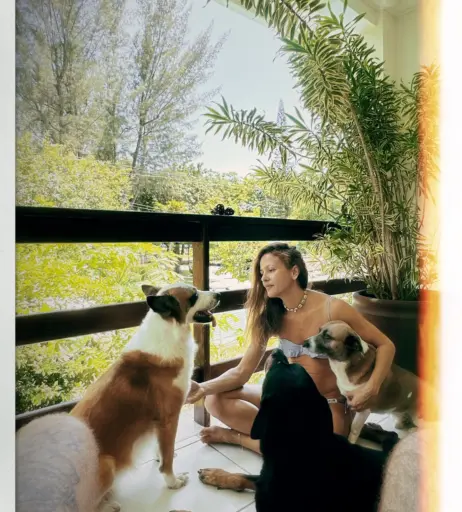 Image 23076715 from Fernanda De Freitas