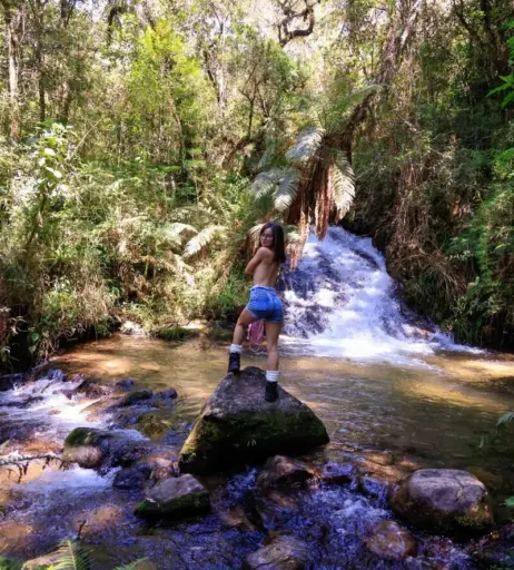 Image 23071168 from Arise Peachy