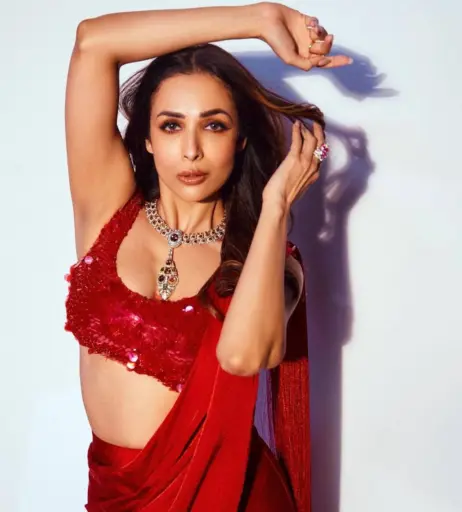 Image 23016025 from Malaika Arora