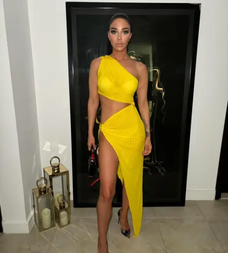Image 23028122 from Tulisa Contostavlos