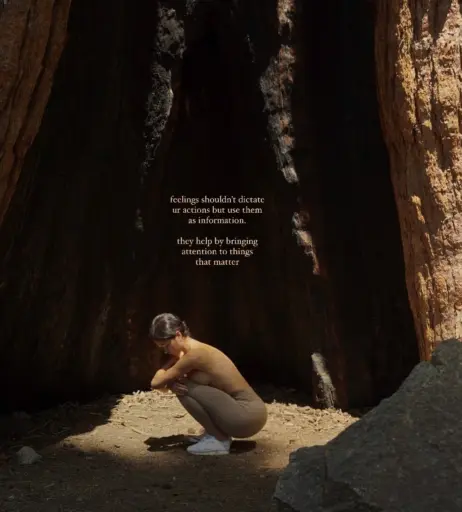 Image 2302026 from mirasjuice