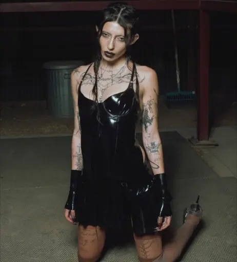 Image 23031213 from DeathbyRomy