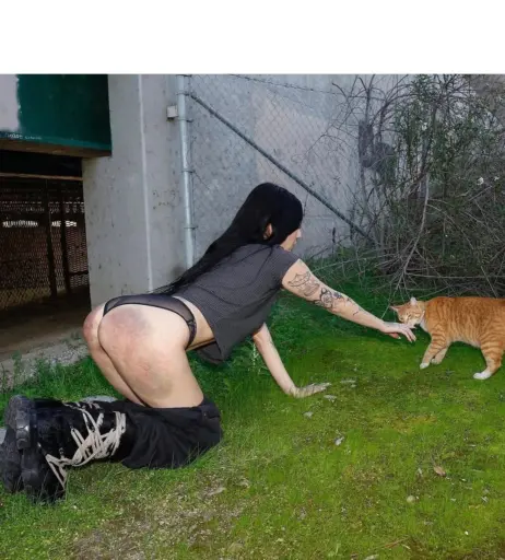Image 23030937 from DeathbyRomy