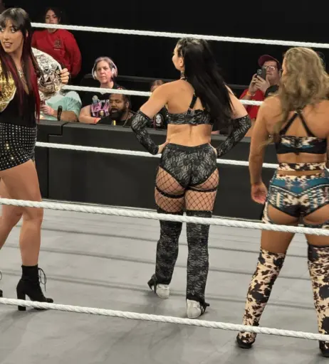 Image 23091427 from Fallon Henley (WWE)