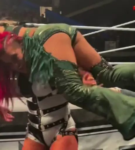 Image 23091617 from Fallon Henley (WWE)