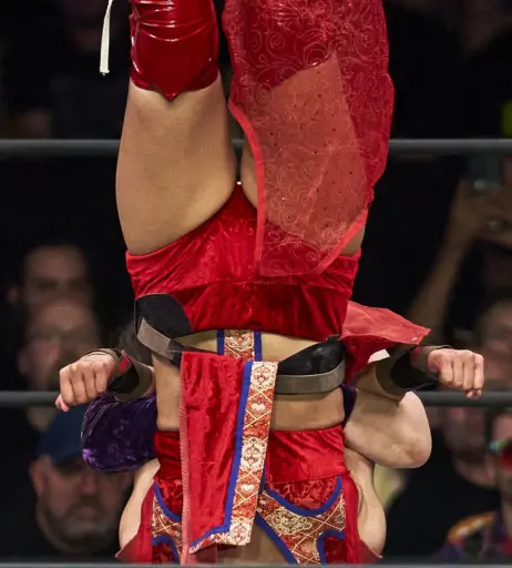 Image 23084425 from AEW Hikaru Shida
