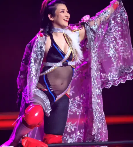 Image 23084110 from AEW Hikaru Shida