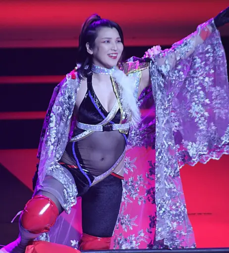 Image 23084115 from AEW Hikaru Shida