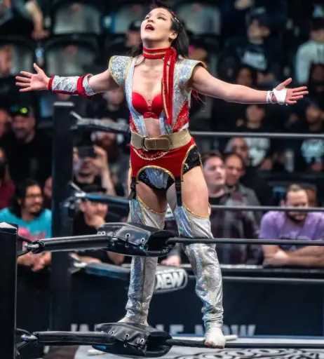 Image 23084119 from AEW Hikaru Shida