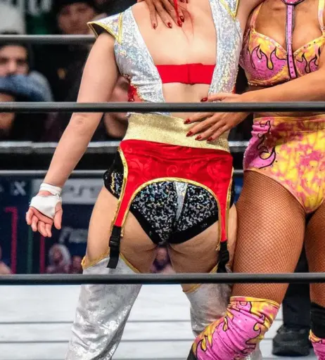 Image 23084118 from AEW Hikaru Shida