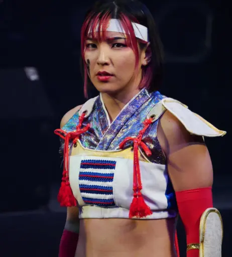 Image 23084100 from AEW Hikaru Shida