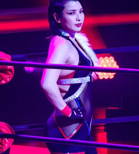 Image 23084109 from AEW Hikaru Shida