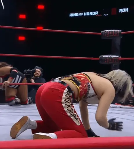 Image 23084173 from AEW Hikaru Shida