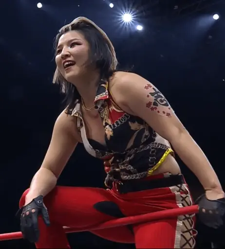 Image 23084170 from AEW Hikaru Shida