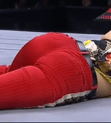 Image 23084177 from AEW Hikaru Shida