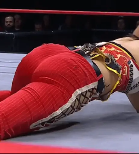Image 23084176 from AEW Hikaru Shida