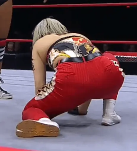 Image 23084174 from AEW Hikaru Shida