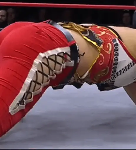 Image 23084178 from AEW Hikaru Shida