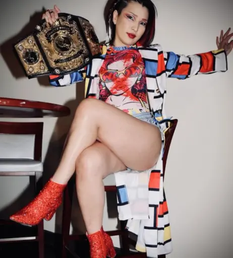 Image 23084089 from AEW Hikaru Shida