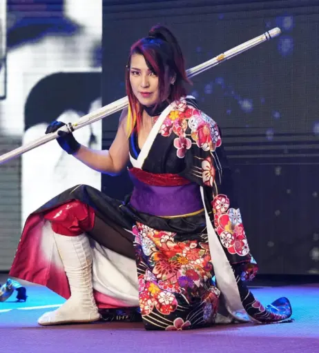 Image 23084025 from AEW Hikaru Shida