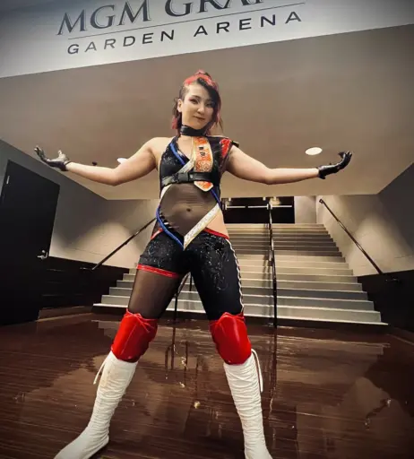 Image 23084019 from AEW Hikaru Shida