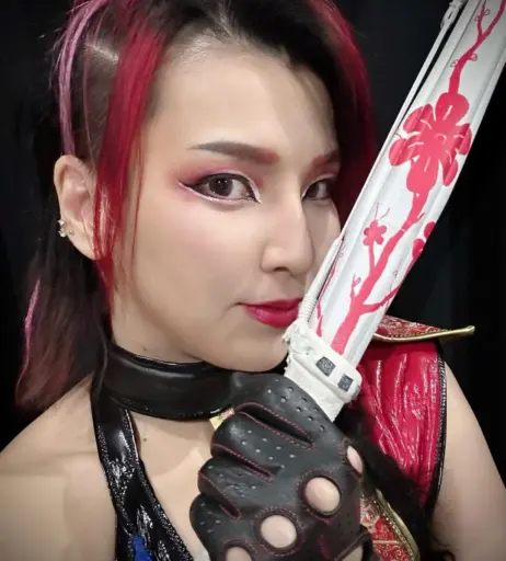 Image 23084036 from AEW Hikaru Shida
