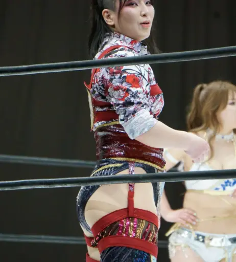 Image 23084350 from AEW Hikaru Shida