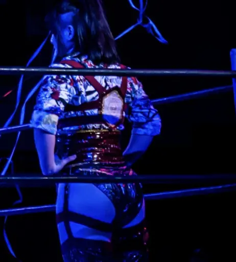 Image 23084343 from AEW Hikaru Shida