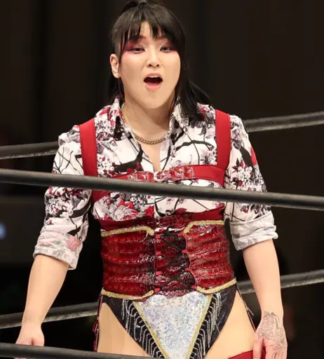 Image 23084342 from AEW Hikaru Shida