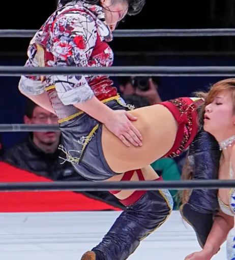Image 23084347 from AEW Hikaru Shida