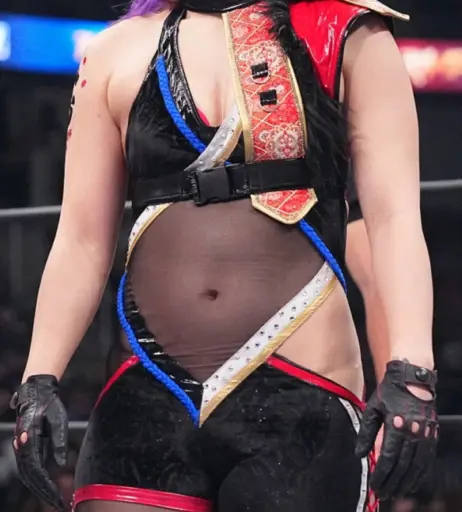 Image 23084282 from AEW Hikaru Shida