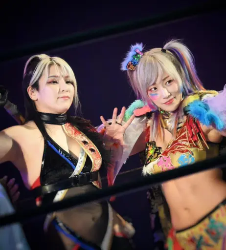 Image 23084200 from AEW Hikaru Shida
