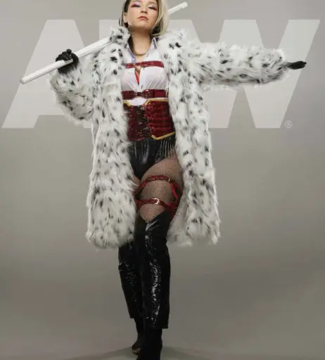 Image 23084263 from AEW Hikaru Shida