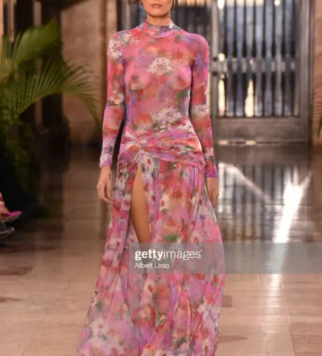 Image 2896783 from Vanessa Fuchs