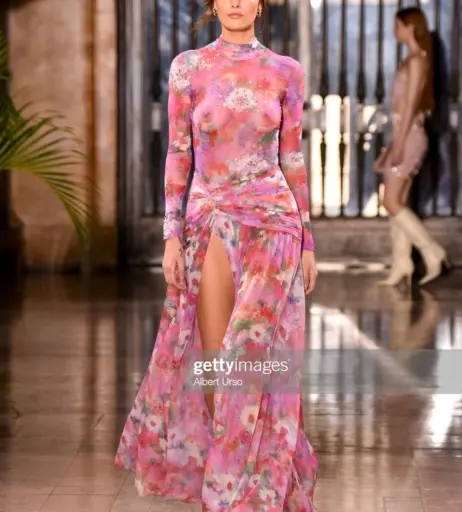 Image 2896786 from Vanessa Fuchs