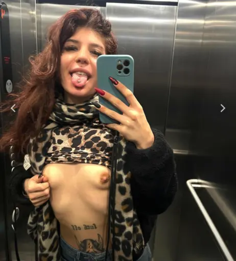 Image 2899019 from Nacktschneckee