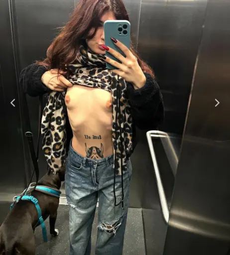 Image 2899015 from Nacktschneckee