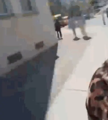 Image 2884005 from Mathea