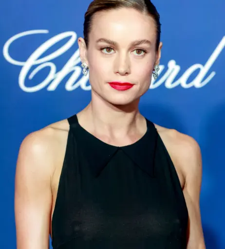 Image 2882863 from Brie Larson