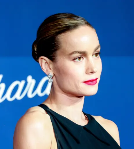 Image 2882653 from Brie Larson