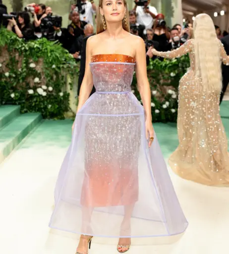 Image 2882165 from Brie Larson