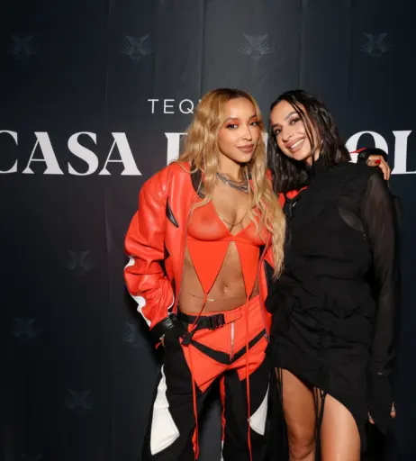 Image 2880813 from Tinashe