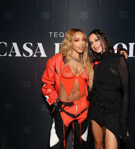 Image 2880829 from Tinashe