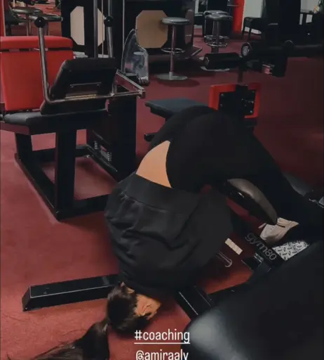 Image 2877192 from Amira Aly / Pocher