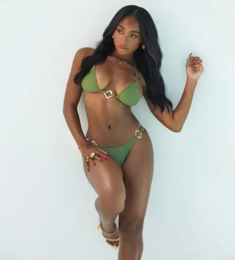 Image 2872420 from Normani