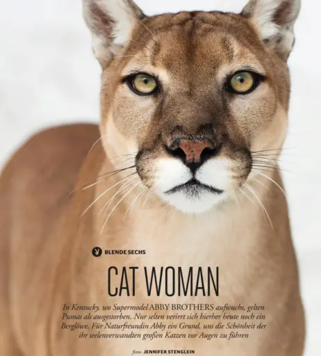 Image 2872049 from Taynara Wolf