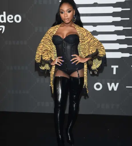 Image 2873369 from Normani